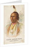Agate Arrow Point, Warm Springs, from the American Indian Chiefs series for Allen & G…, 1888 by Allen & Ginter