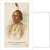 Agate Arrow Point, Warm Springs, from the American Indian Chiefs series for Allen & G…, 1888 by Allen & Ginter