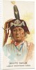 White Swan, Lower Yanktonas Sioux, from the American Indian Chiefs series for Allen &…, 1888 by Allen & Ginter