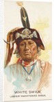 White Swan, Lower Yanktonas Sioux, from the American Indian Chiefs series for Allen &…, 1888 by Allen & Ginter