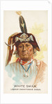 White Swan, Lower Yanktonas Sioux, from the American Indian Chiefs series for Allen &…, 1888 by Allen & Ginter