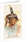 White Swan, Lower Yanktonas Sioux, from the American Indian Chiefs series for Allen &…, 1888 by Allen & Ginter
