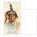 White Swan, Lower Yanktonas Sioux, from the American Indian Chiefs series for Allen &…, 1888 by Allen & Ginter