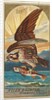 Osprey, from the Birds of America series for Allen & Ginter Cigarettes Brands, 1888 by Allen & Ginter