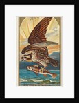 Osprey, from the Birds of America series for Allen & Ginter Cigarettes Brands, 1888 by Allen & Ginter