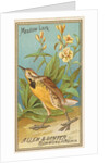 Meadow Lark, from the Birds of America series for Allen & Ginter Cigarettes Brands, 1888 by Allen & Ginter