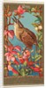 Wren, from the Birds of America series for Allen & Ginter Cigarettes Brands, 1888 by Allen & Ginter