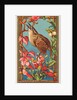 Wren, from the Birds of America series for Allen & Ginter Cigarettes Brands, 1888 by Allen & Ginter