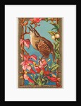 Wren, from the Birds of America series for Allen & Ginter Cigarettes Brands, 1888 by Allen & Ginter