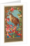 Wren, from the Birds of America series for Allen & Ginter Cigarettes Brands, 1888 by Allen & Ginter