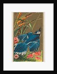 Blue Jay, from the Birds of America series for Allen & Ginter Cigarettes Brands, 1888 by Allen & Ginter