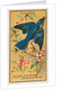 Blue Bird, from the Birds of America series for Allen & Ginter Cigarettes Brands, 1888 by Allen & Ginter