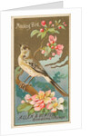 Mockingbird, from the Birds of America series for Allen & Ginter Cigarettes Brands, 1888 by Allen & Ginter