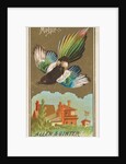 Magpie, from the Birds of America series for Allen & Ginter Cigarettes Brands, 1888 by Allen & Ginter