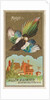 Magpie, from the Birds of America series for Allen & Ginter Cigarettes Brands, 1888 by Allen & Ginter