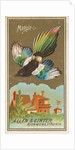 Magpie, from the Birds of America series for Allen & Ginter Cigarettes Brands, 1888 by Allen & Ginter