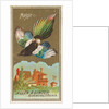 Magpie, from the Birds of America series for Allen & Ginter Cigarettes Brands, 1888 by Allen & Ginter