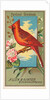 Cardinal Grosbeak, from the Birds of America series for Allen & Ginter Cigarettes Bra…, 1888 by Allen & Ginter