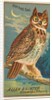 Horned Owl, from the Birds of America series for Allen & Ginter Cigarettes Brands, 1888 by Allen & Ginter