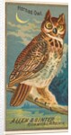 Horned Owl, from the Birds of America series for Allen & Ginter Cigarettes Brands, 1888 by Allen & Ginter