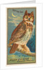 Horned Owl, from the Birds of America series for Allen & Ginter Cigarettes Brands, 1888 by Allen & Ginter