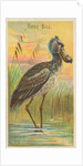 Shoe-Bill, from the Birds of the Tropics series for Allen & Ginter Cigarettes Brands, 1889 by Allen & Ginter