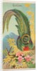Quetzal, from the Birds of the Tropics series for Allen & Ginter Cigarettes Brands, 1889 by Allen & Ginter