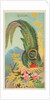 Quetzal, from the Birds of the Tropics series for Allen & Ginter Cigarettes Brands, 1889 by Allen & Ginter