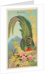 Quetzal, from the Birds of the Tropics series for Allen & Ginter Cigarettes Brands, 1889 by Allen & Ginter