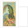 Quetzal, from the Birds of the Tropics series for Allen & Ginter Cigarettes Brands, 1889 by Allen & Ginter