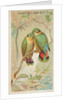 Swindern's Love-Bird, from the Birds of the Tropics series for Allen & Ginter Cigaret…, 1889 by Allen & Ginter