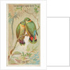 Swindern's Love-Bird, from the Birds of the Tropics series for Allen & Ginter Cigaret…, 1889 by Allen & Ginter