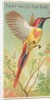Fiery-Tailed Sun Bird, from the Birds of the Tropics series for Allen & Ginter Cigare…, 1889 by Allen & Ginter
