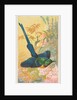 Yellow-Breasted Sun Bird, from the Birds of the Tropics series for Allen & Ginter Cig…, 1889 by Allen & Ginter