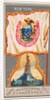New York, from the City Flags series for Allen & Ginter Cigarettes Brands, 1887 by Allen & Ginter