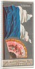 Havana, from the City Flags series for Allen & Ginter Cigarettes Brands, 1887 by Allen & Ginter