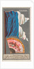 Havana, from the City Flags series for Allen & Ginter Cigarettes Brands, 1887 by Allen & Ginter