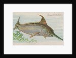 Swordfish, from the Fish from American Waters series for Allen & Ginter Cigarettes Br…, 1889 by Allen & Ginter