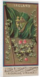 Ireland, from Flags of All Nations, Series 1 for Allen & Ginter Cigarettes Brands, 1887 by Allen & Ginter