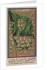 Ireland, from Flags of All Nations, Series 1 for Allen & Ginter Cigarettes Brands, 1887 by Allen & Ginter