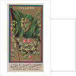 Ireland, from Flags of All Nations, Series 1 for Allen & Ginter Cigarettes Brands, 1887 by Allen & Ginter