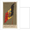 Belgium, from Flags of All Nations, Series 1 for Allen & Ginter Cigarettes Brands, 1887 by Allen & Ginter