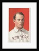Elberfeld, New York, American League, from the White Border series for the Ameri…, 1909-11 by American Tobacco Company