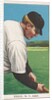 Engle, New York, American League, from the White Border series for the American …, 1909-11 by American Tobacco Company