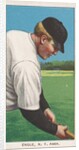 Engle, New York, American League, from the White Border series for the American …, 1909-11 by American Tobacco Company