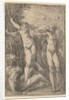Apollo and Daphne, ca. 1538-40 by Andrea Schiavone