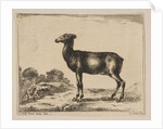 Plate 15: doe, from 'Various animals', after 1641 by Unknown