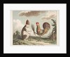 Le Traité de Paix avec Rome, ca. 1789 by Unknown