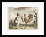 Le Traité de Paix avec Rome, ca. 1789 by Unknown
