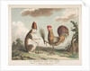 Le Traité de Paix avec Rome, ca. 1789 by Unknown